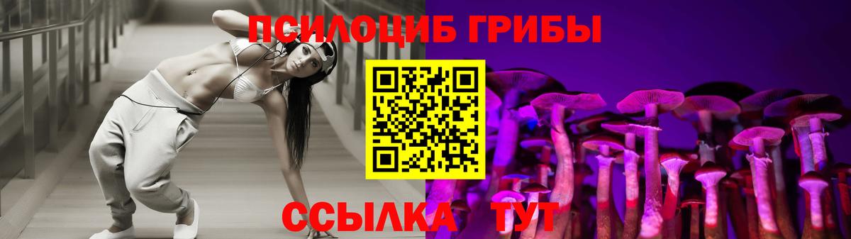 продажа наркотиков  Вход с VPN  Котовск  Псилоцибиновые грибы мухоморы  Псилоцибиновые грибы ЛСД 